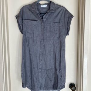 Everlane shirt dress